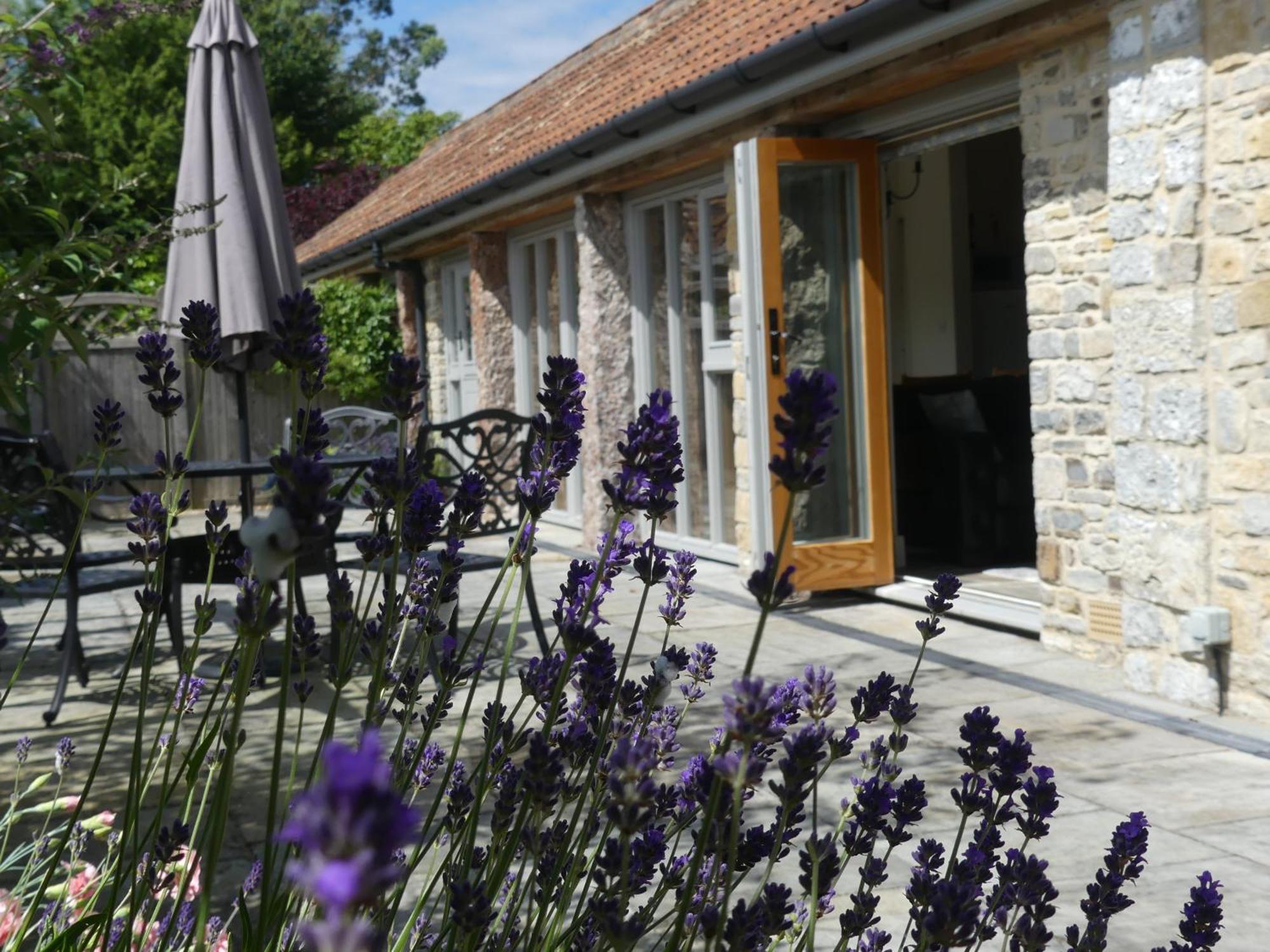Pear Tree Cottages Wedmore Værelse billede